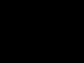 Jaane bhi de