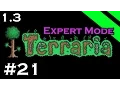 Let s Play Terraria 1 3 Expert Mode - Episode 21