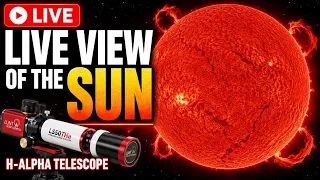 ☀️ LIVE: The Sun in Hydrogen Alpha RIGHT NOW | Solar Telescope Stream