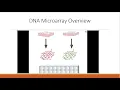 Microarrays overview