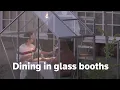Download Lagu Dutch restaurant experiments fine dining in glass booths