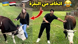 راح نشتري بقرة لجد و الجدة     اسعار البيوت حاليا صدمة   فلوك الريف الاوكراني       مصطفى ستار دندنها