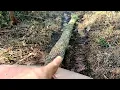 Download Lagu tarik kayu balak.