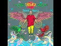 Thandi Hawa (Anish Sood Remix) - Ritviz