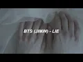 BTS (방탄소년단) JIMIN 'LIE' Easy Lyrics
