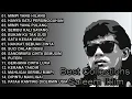 Download Lagu Full Album Saleem Iklim Best Rock Of Malaysian