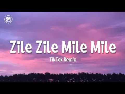 Download MP3 Zile Zile Mile Mile TikTok Remix Song