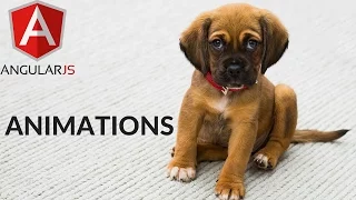 Angular 2 - Animations