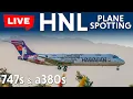 Download Lagu Arrivals and Up Close Departures at HNL/PHNL Honolulu Hawaii - Live Planespotting