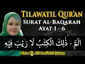 Download Lagu Tilawah SURAT AL-BAQARAH Ayat 1-6 Oleh Hj. Siti Badi'atul Firdaus || Disertai Teks Arab dan Terjemah