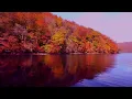 Aphex Twin - Lichen 1 hour looped