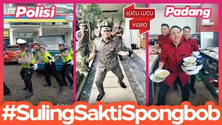 Download TikTok Suling Sakti Spongbob Paling Ngakak Terlengkap MP3