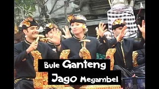 Download BULE GANTENG AMERIKA JAGO MEGAMBEL DI PKB 2019 MP3