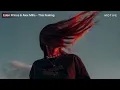 Eden Prince & Alex Mills - This Feeling