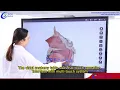 Virtual Anatomy System | 3D Virtual Anatomy Table | Education Software