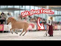 Download Lagu Ik schaamde mij kapot + Hoe ik het heb opgelost! 😳 Horse Event 2025
