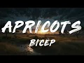BICEP - Apricots
