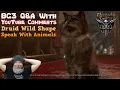Baldur s Gate 3 Q A - Does Moon Druid Wild Shape Give You The Speak With Animal Spell Effect