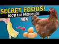 10 NATURAL FOODS To Boost EGG PRODUCTION In Chickens Natural Chicken Feed Backyard Chicken