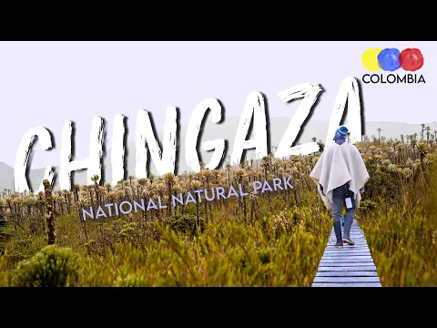 Chingaza Natural Park | Hiking Near Bogota