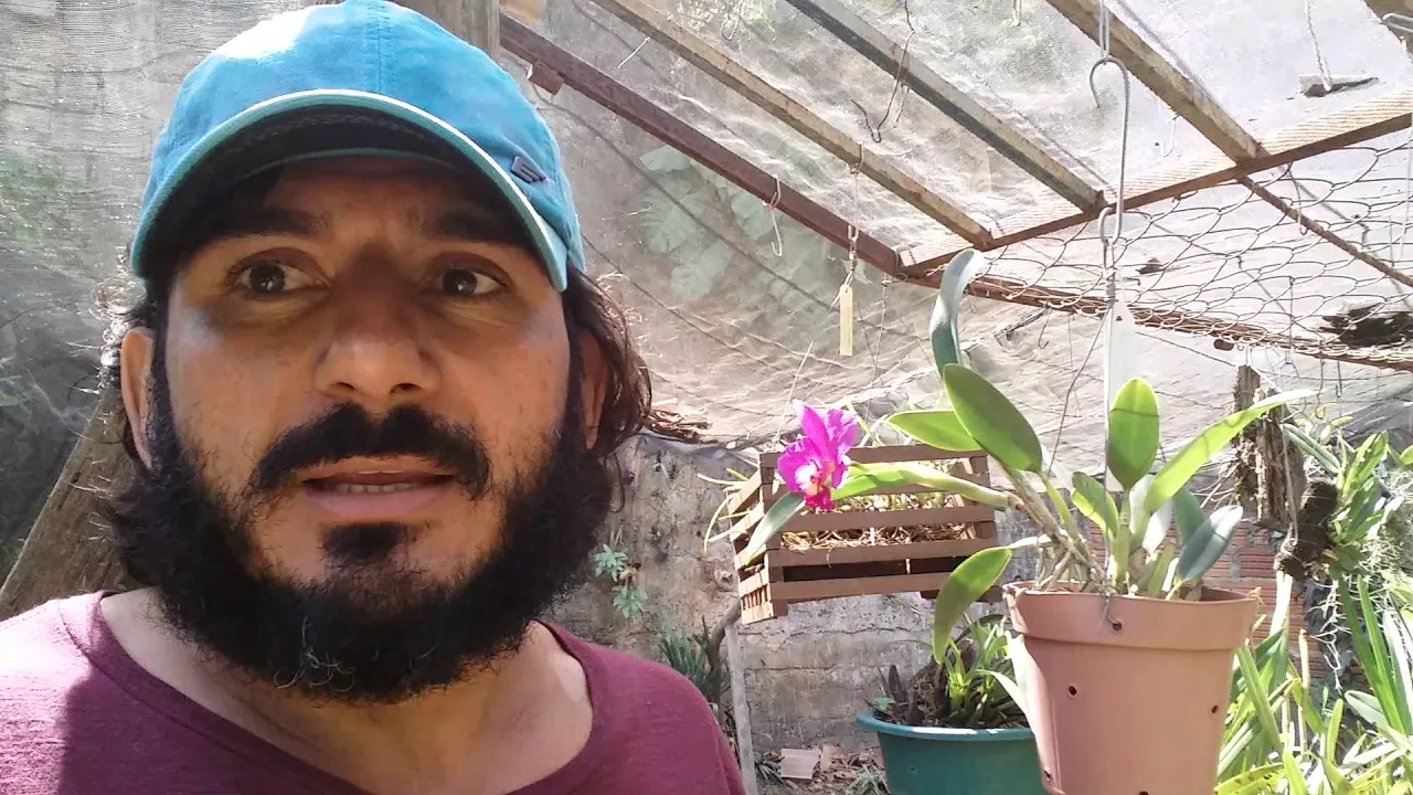 CULTIVO DE MINI ORQUÍDEAS