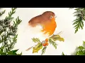 Download Lagu How to Paint a Christmas Robin for Home, Gifts and Cards in Watercolor - Step by Step Tutorial