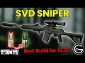 Stop using PS Rounds Punisher SVD Ammo Builds Guide patch 12 12