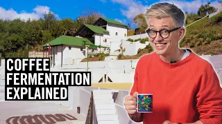 I Went To Guatemala To Explain Why All Coffee Is Fermented