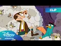Perry \u0026 Dr. Dr.Doofenshmirtz's Extreme Sheep Chase!🐑 | Phineas and Ferb | ⁨@disneychannelanimation