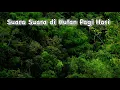 Download Lagu Suasana Hutan Pagi | Forest ambience sounds effect | Suara Pagi Hari di Pegunungan #suasanapagihari