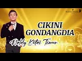 Download Lagu NALDY KUTAI TIMUR - CIKINI GONDANGDIA LIRIK LAGU DANGDUT ACADEMY 7 #dangdut #indosiar #liriklagu 