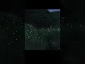 Lagu Fireflies | How long has it been since you've seen a firefly?