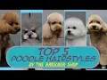 TOP 5 Poodle Hairstyles The Barkber Shop