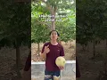 Download Lagu Tim yang kalah biasanya buka baju #shorts #lucu #ngakak #bola