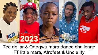 Tee Dollar Odogwu Mara Dance Challenge Ft Little Mara Afrofeet Uncle Ify 