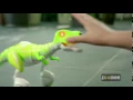 Download Lagu Spin Master | Zoomer Dino