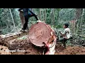 Download Lagu Technik Tarik Kayu Bulat Menggunakan Unit Excavator