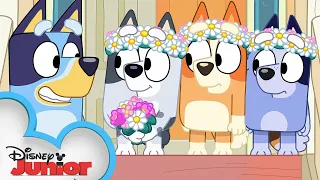 Bluey Season 3 Episode 49 The Sign Episode Clip disneyjr