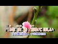 01-018  忘れてほしい **原諒我吧 心上人  音圓 43432  金嗓  40457