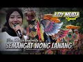 Download Lagu SEMANGAT WONG LANANG (SITI ALIYAH)|| VOC. SHESIN SAZMITA|| LIVE KARANGWUNI-SEDONG 18 FEB 2023