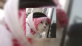 فرقة ميامي   شلون انساك             دندنها
