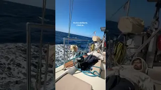 Et toi, tu pourrais vivre comme ça ? 🌊
