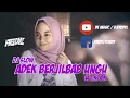 Download Lagu Dj slow ADEK BERJILBAB UNGU