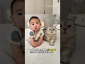 Download Lagu Babu mengerjakan pekerjaan rumah🏠Milo menjaga dede bayi😻😺 #kucing #kucingmilo