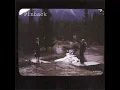Loro - Pinback