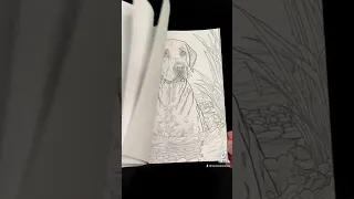 My labrador retriever coloring book is available now. Details in description. #dog #dogs #labrador