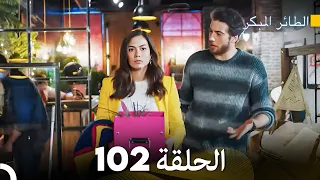 مسلسل الطائر المبكر الحلقة 102 Arabic Dubbed FULL HD 
