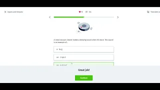 12 Inputs and Outputs Coding Foundations Sololearn