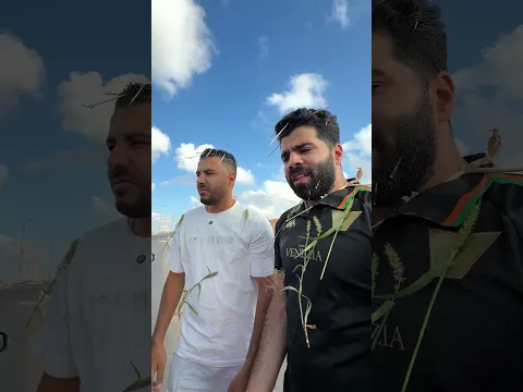 اللي حصل في نويبع
