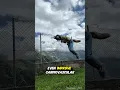 Quadrobics Move Like An Animal